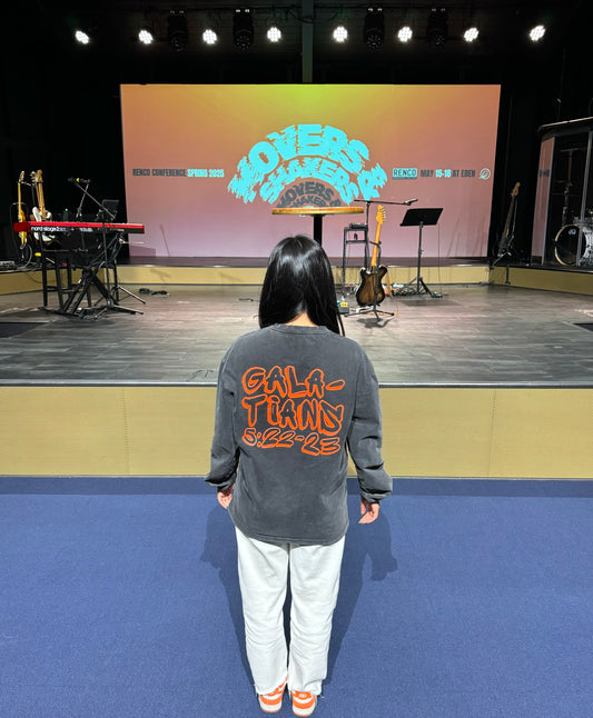 ‘Check Your Fruit’ Heavyweight long sleeve T-shirt